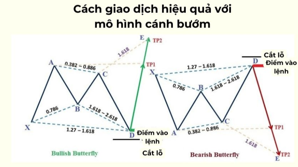 Mô hình cánh bướm trong Forex